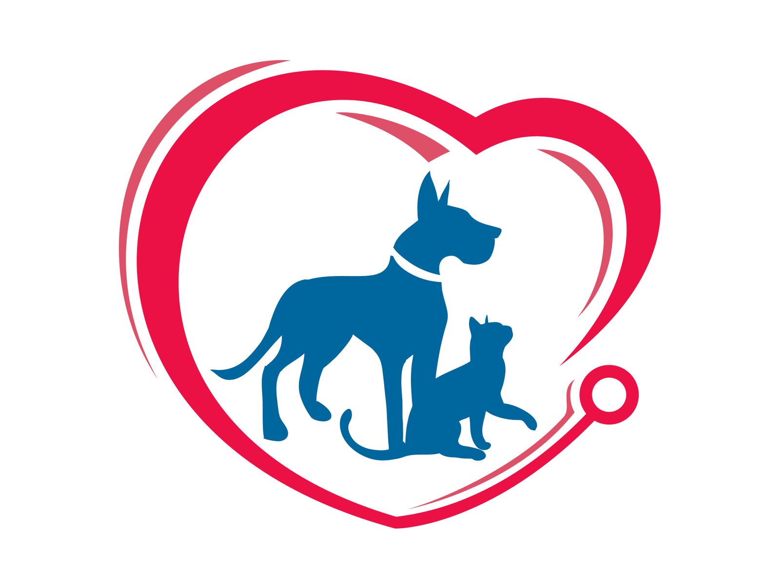 Clínica Veterinária dos Navegantes