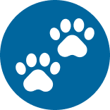 Localização da Clínica Veterinária dos Navegantes